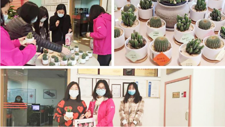 三八婦女節，向閃閃發光的環保女神們致敬